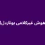 تست هوش غیرکلامی بوناردل (BNIT)