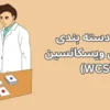 تست دسته بندی کارت های ویسکانسین WCST