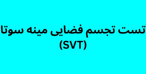 تست تجسم فضایی مینه سوتا (SVT)