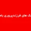 تست سبک های فرزندپروری بامریند PSI